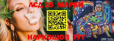 СК Шахты
