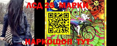 СК Шахты
