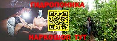 СК Шахты