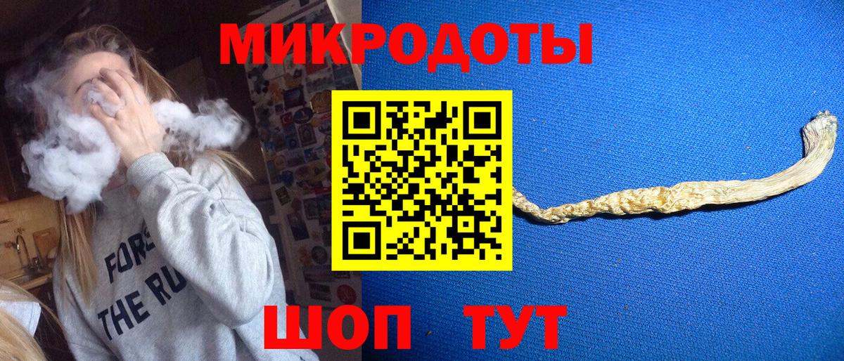 Псилоцибиновые грибы Psilocybe Батайск