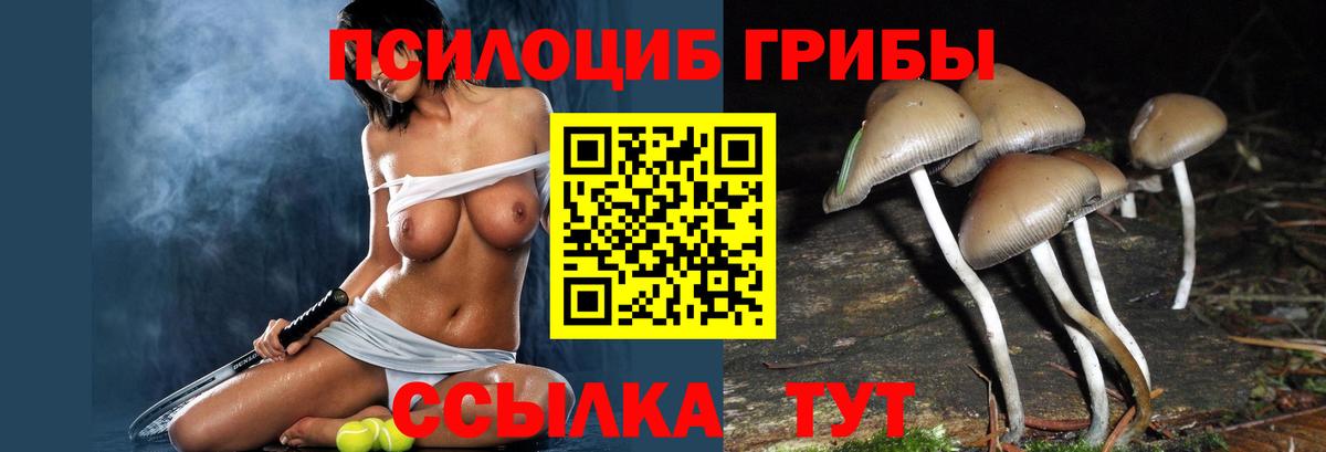 Батайск  Галлюциногенные грибы Psilocybe  Галлюциногенные грибы прущие грибы  Вход с VPN 